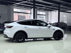 Tesla Model Y long-range all-wheel drive version - фото 7