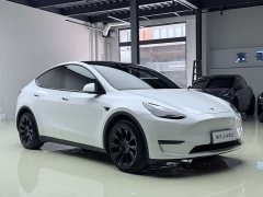 Tesla Model Y long-range all-wheel drive version - фото 8