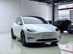 Tesla Model Y long-range all-wheel drive version - фото 9