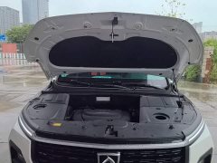Baojun 530 Global Car Anniversary Edition 1.5T CVT Premium Interconnected 7-seater - фото 20