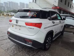 Baojun 530 Global Car Anniversary Edition 1.5T CVT Premium Interconnected 7-seater - фото 7