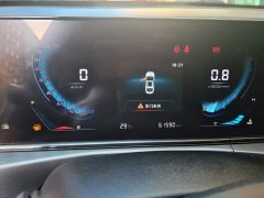 Ford Eado PLUS 1.6L GDI manual luxury - фото 14