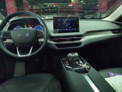 Hongqi E-QM5 610km PLUS - фото 12