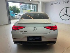 Mercedes-Benz CLS 2021 CLS 300 luxury - фото 2