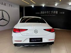 Mercedes-Benz CLS 2021 CLS 300 luxury - фото 5