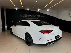 Mercedes-Benz CLS 2021 CLS 300 luxury - фото 6