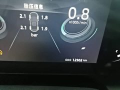 Ruicheng PLUS 2023 1.5T DCT premium - фото 12