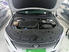 Ruicheng PLUS 2023 1.5T DCT premium - фото 20