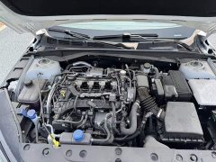 Ford Eado 2025 Blue Whale 1.5T 500Bar Premium Type - фото 20