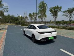 Ford Eado 2025 Blue Whale 1.5T 500Bar Premium Type - фото 5