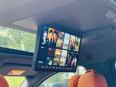 Li Auto Ideal L9 Ultra - фото 16