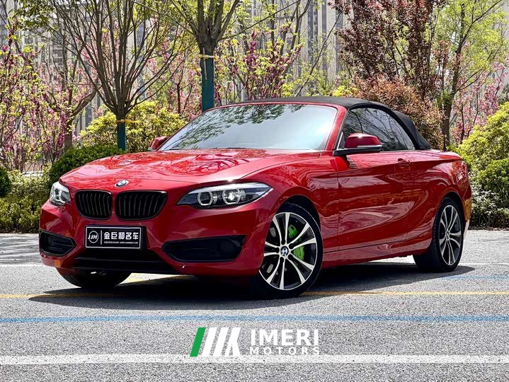 BMW 2 Series (Imported) 2019 225i Convertible Coupe Sports Design Package - автомобиль из Китая