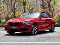 BMW 2 Series (Imported) 2019 225i Convertible Coupe Sports Design Package - фото 1