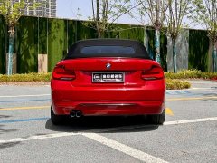 BMW 2 Series (Imported) 2019 225i Convertible Coupe Sports Design Package - фото 17