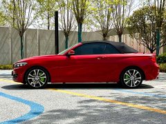 BMW 2 Series (Imported) 2019 225i Convertible Coupe Sports Design Package - фото 18