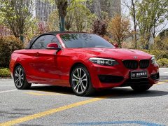 BMW 2 Series (Imported) 2019 225i Convertible Coupe Sports Design Package - фото 2