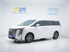 Trumpchi M8 Master Series 400T Extreme Edition - фото 1