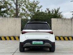 smart Elf #1 2022 Premium Edition - фото 10
