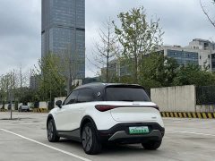 smart Elf #1 2022 Premium Edition - фото 4