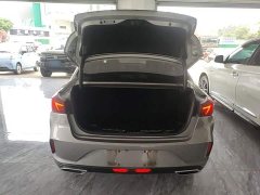 Ford EADO PLUS Blue Whale NE 1.4T GDI DCT Premium Type - фото 19