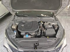 Ford EADO PLUS Blue Whale NE 1.4T GDI DCT Premium Type - фото 20
