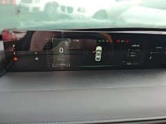 Ford Eado 1.5T GDI automatic flagship - фото 12