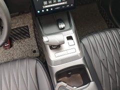 Ford Eado 1.5T GDI automatic flagship - фото 14
