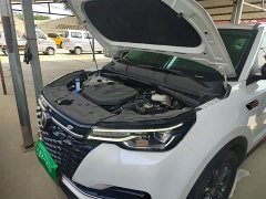 Changan CS55PLUS Blue Whale Edition 1.5T DCT Premium Type - фото 20
