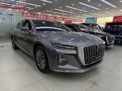 Hongqi H5 2023 1.5T DCT Zhilian Qiyun Edition - фото 3