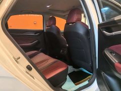 Ford EADO PLUS Blue Whale NE 1.4T GDI DCT Premium Type - фото 7