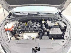 Ford Eado 2021 PLUS 1.6L GDI manual luxury - фото 10