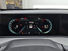 Ford EADO PLUS Blue Whale NE 1.4T GDI DCT Premium Edition - фото 14