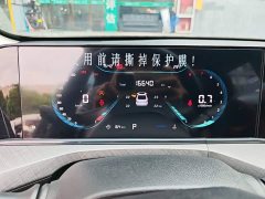 Ford EADO PLUS Blue Whale NE 1.4T GDI DCT Premium Edition - фото 12