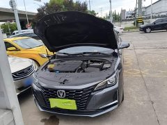 Ruicheng CC Blue Whale Edition 1.5T DCT Luxury - фото 16