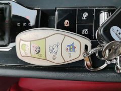 Hongqi H6 2.0T Ultimate Edition - фото 12
