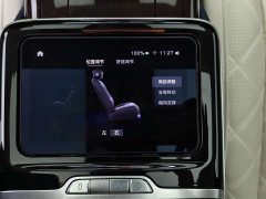 Hongqi Golden Sunflower Guoya 4.0T V8 version - фото 20