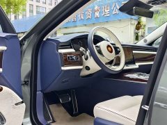 Hongqi Golden Sunflower Guoya 4.0T V8 version - фото 7