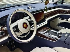 Hongqi Golden Sunflower Guoya 4.0T V8 version - фото 8