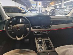 Hongqi HS5 2.0T two-wheel drive Qixiang Pro version - фото 13