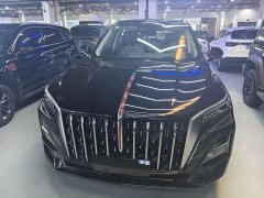 Hongqi HS5 2.0T two-wheel drive Qixiang Pro version - фото 2