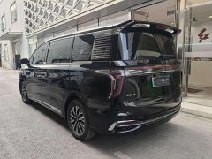 Hongqi HQ9 PHEV 2.0T four-wheel drive luxury version - фото 9