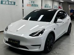 Tesla Model Y 2021 Performance high-performance all-wheel drive version - фото 1