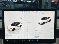 Tesla Model Y 2021 Performance high-performance all-wheel drive version - фото 11