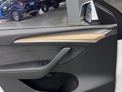 Tesla Model Y 2021 Performance high-performance all-wheel drive version - фото 13