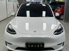 Tesla Model Y 2021 Performance high-performance all-wheel drive version - фото 2