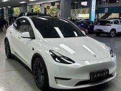 Tesla Model Y 2021 Performance high-performance all-wheel drive version - фото 3