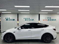 Tesla Model Y 2021 Performance high-performance all-wheel drive version - фото 5