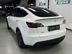 Tesla Model Y 2021 Performance high-performance all-wheel drive version - фото 6