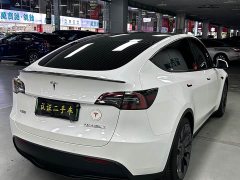 Tesla Model Y 2021 Performance high-performance all-wheel drive version - фото 8