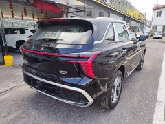 Hongqi HS3 PHEV 2024 115km Jinwei Edition - фото 7